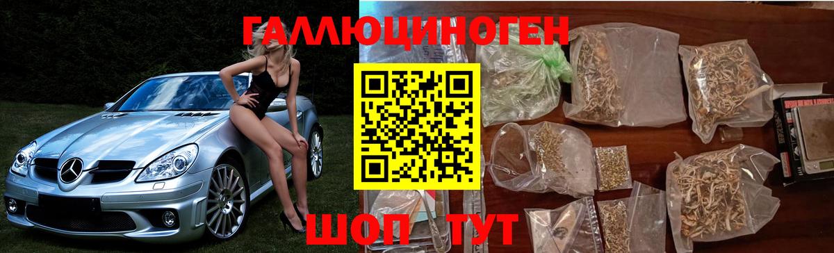 Галлюциногенные грибы Psilocybine cubensis Феодосия